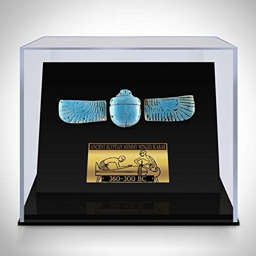 Antik Mısır Otantik Mavi Fayans Kanatlı Bok Böceği MÖ 360-300 Müze Sergisi