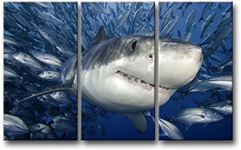 3 Parça Mavi Duvar Sanatı Boyama Köpekbalığı Balık Yakalamak Resimleri Baskılar Tuval Üzerine Hayvan Resim Dekor Yağlıboya