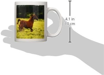 3dRose Florene Hayvanları - Arap Kısrak Ve Tay Atları-Kupalar (mug_80234_1)