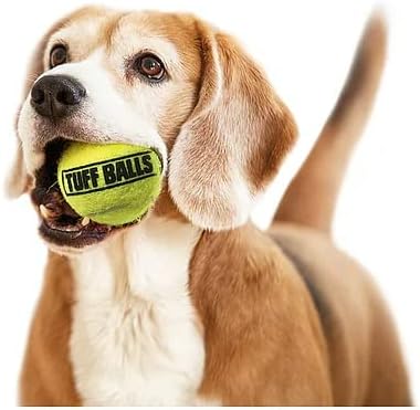 PetSport Tenis Topu Köpek Oyuncakları / 24 Paket Küçük (1.8) Pet Güvenli Toplu Keçe ve Kauçuk Tüf Topları / Köpek Parkında