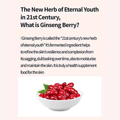 Pureheal's Ginseng Berry 80 Gecelik Maske 100ml / Kore Doğal Cilt Bakımı, Vegan, Zulümsüz, Paraben İçermez, Yaşlanma Karşıtı,