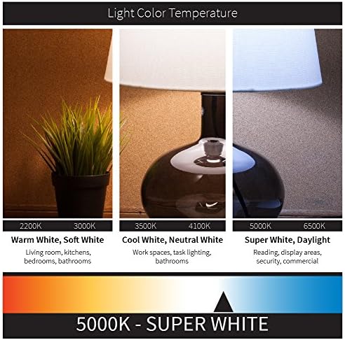 Sunlite 81126 LED Filament G16. 5 Küre 3 (25 Watt Eşdeğeri) Şeffaf Kısılabilir Ampul, 3000K Sıcak Beyaz