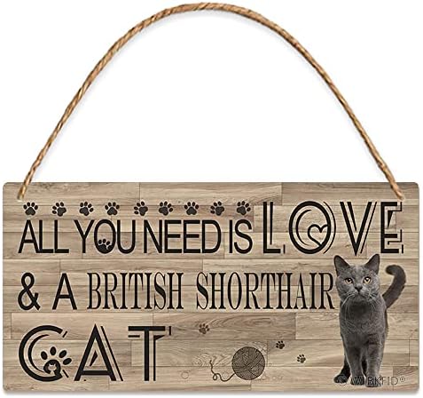 Kedi Pet Özel Kişiselleştirilmiş Baskı Plak İhtiyacınız Olan Tek Şey Aşk Ve İngiliz Stenografi Kedi Yavrusu Komik Ahşap İşaretler