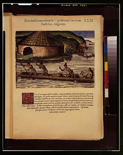 Fotoğraf: Timucua sığınakları ve Tipik Evler, Kuzey Amerika Kızılderilileri, Florida, Kanolar, 1591